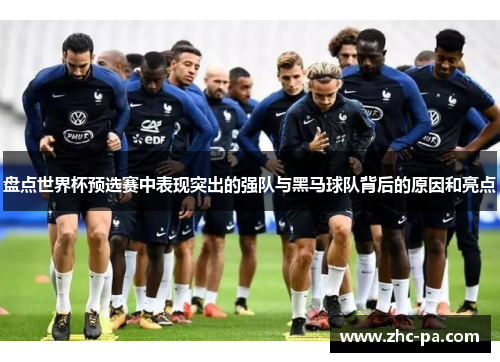 盘点世界杯预选赛中表现突出的强队与黑马球队背后的原因和亮点