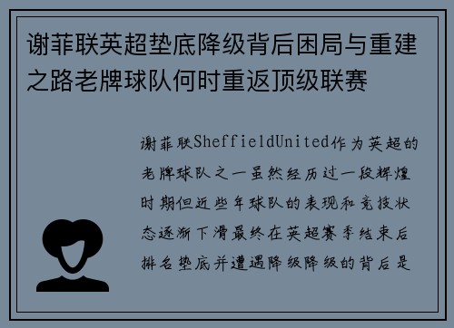 谢菲联英超垫底降级背后困局与重建之路老牌球队何时重返顶级联赛